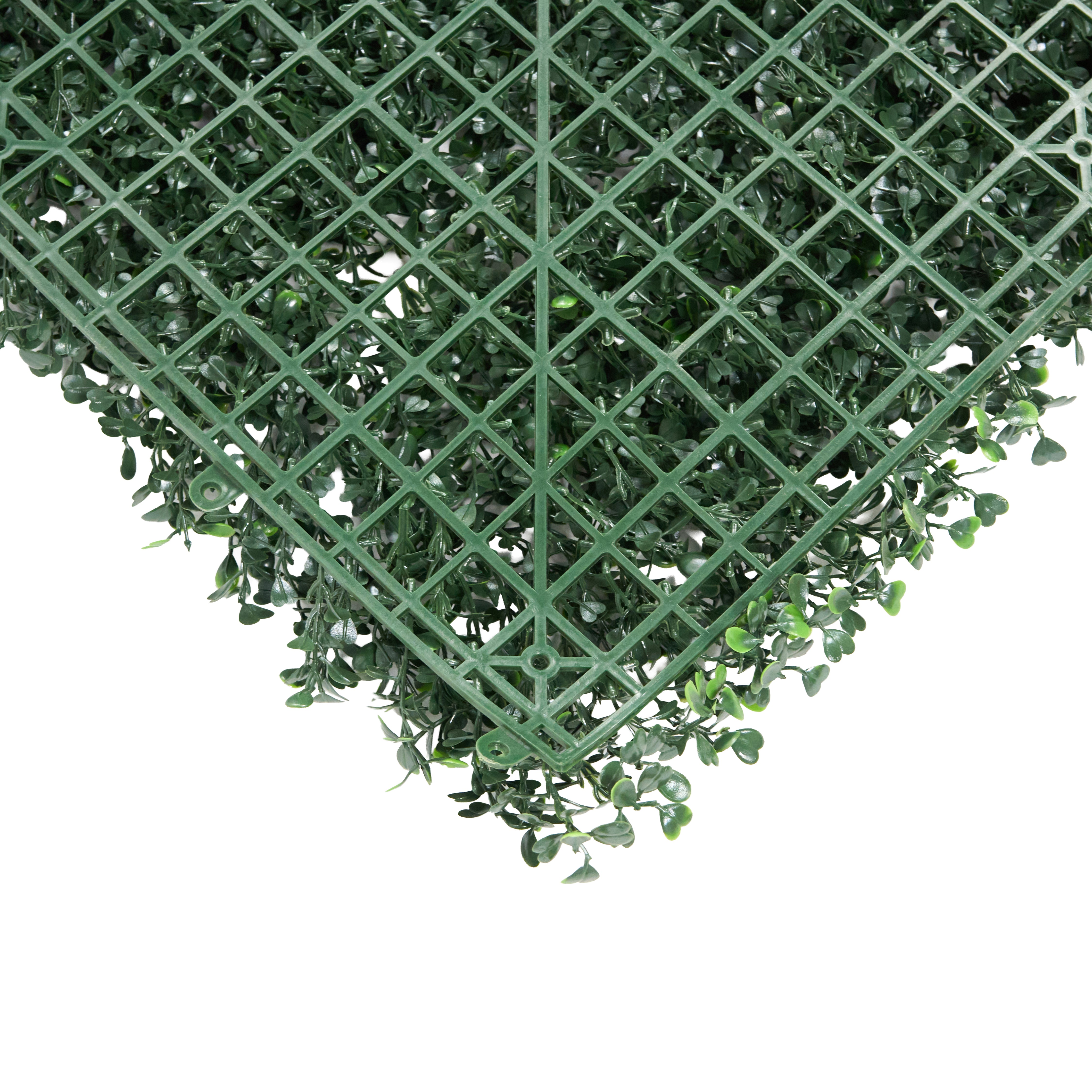 Envywall Boxwood