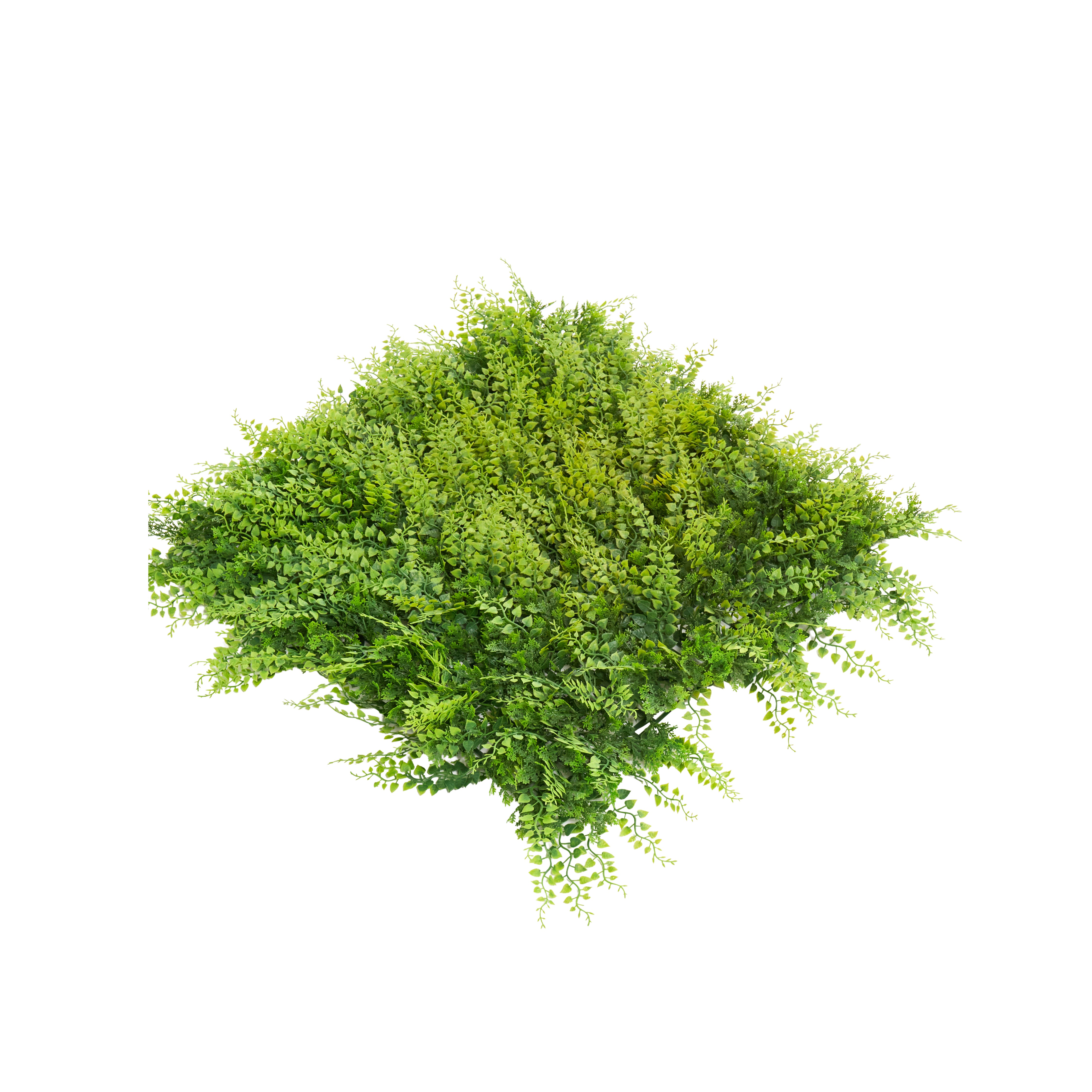 Envywall Fern Panel