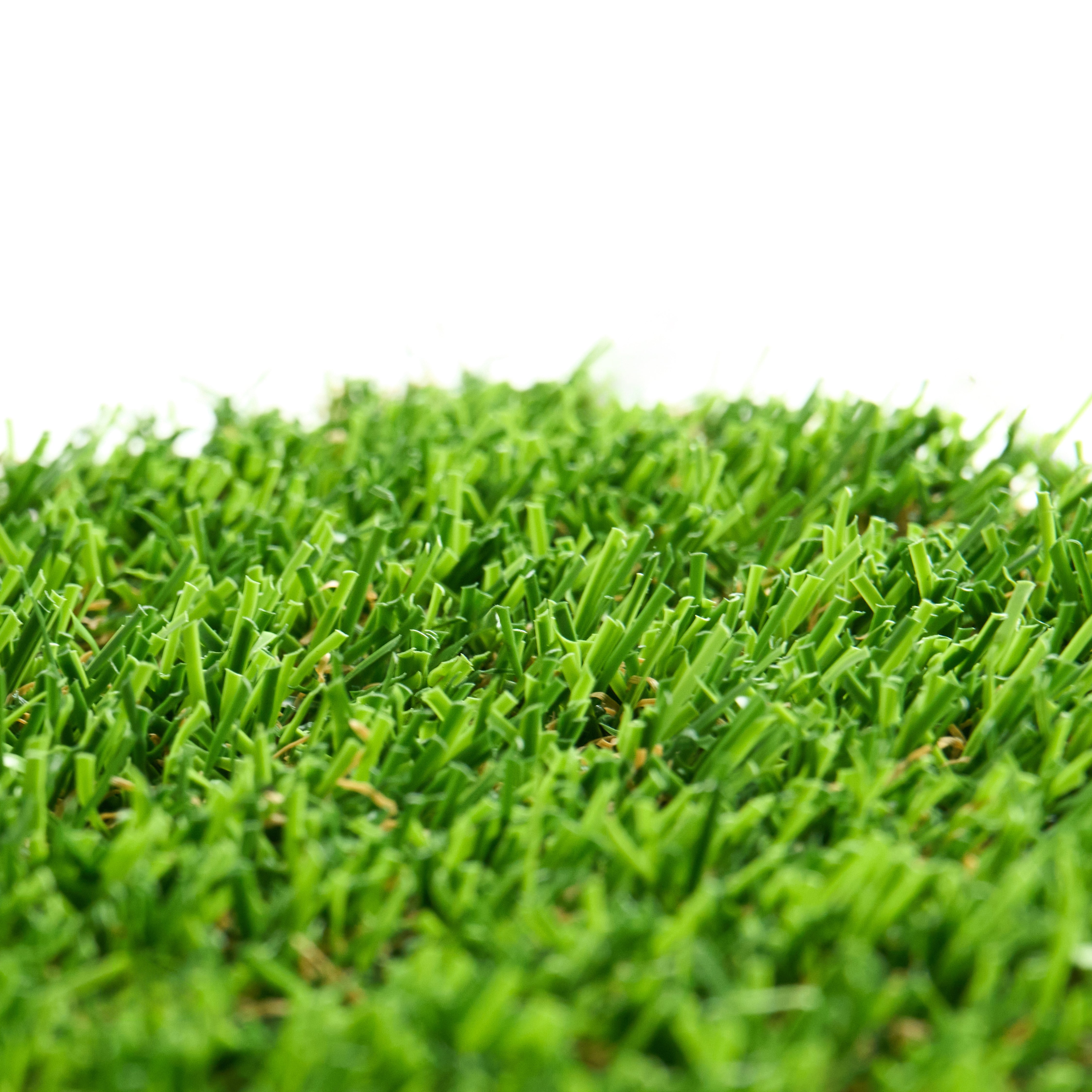 Pet & Paver 81 | Premium Synthetic Turf