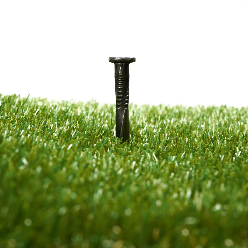 Spiral Turf Nails 6"