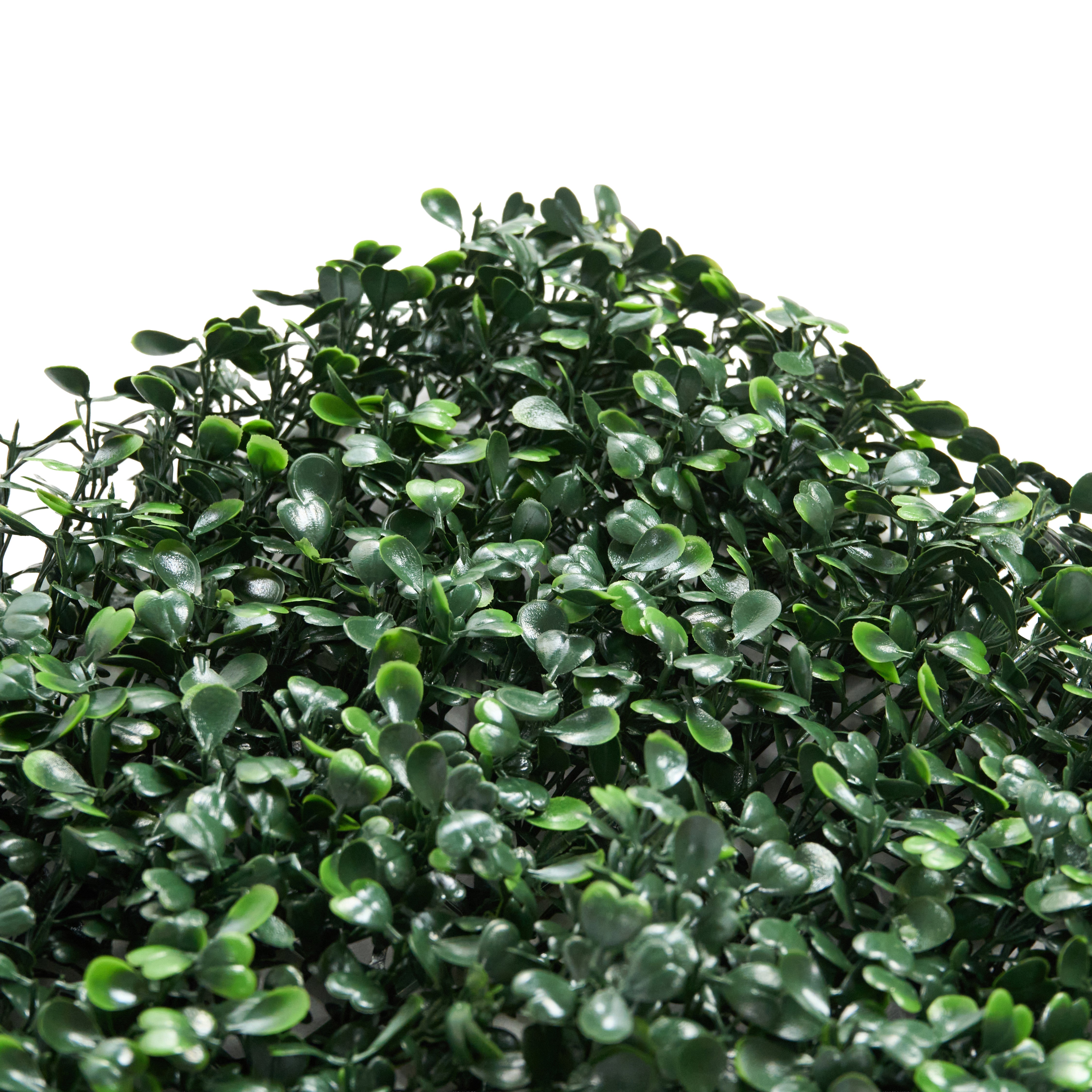 Envywall Boxwood