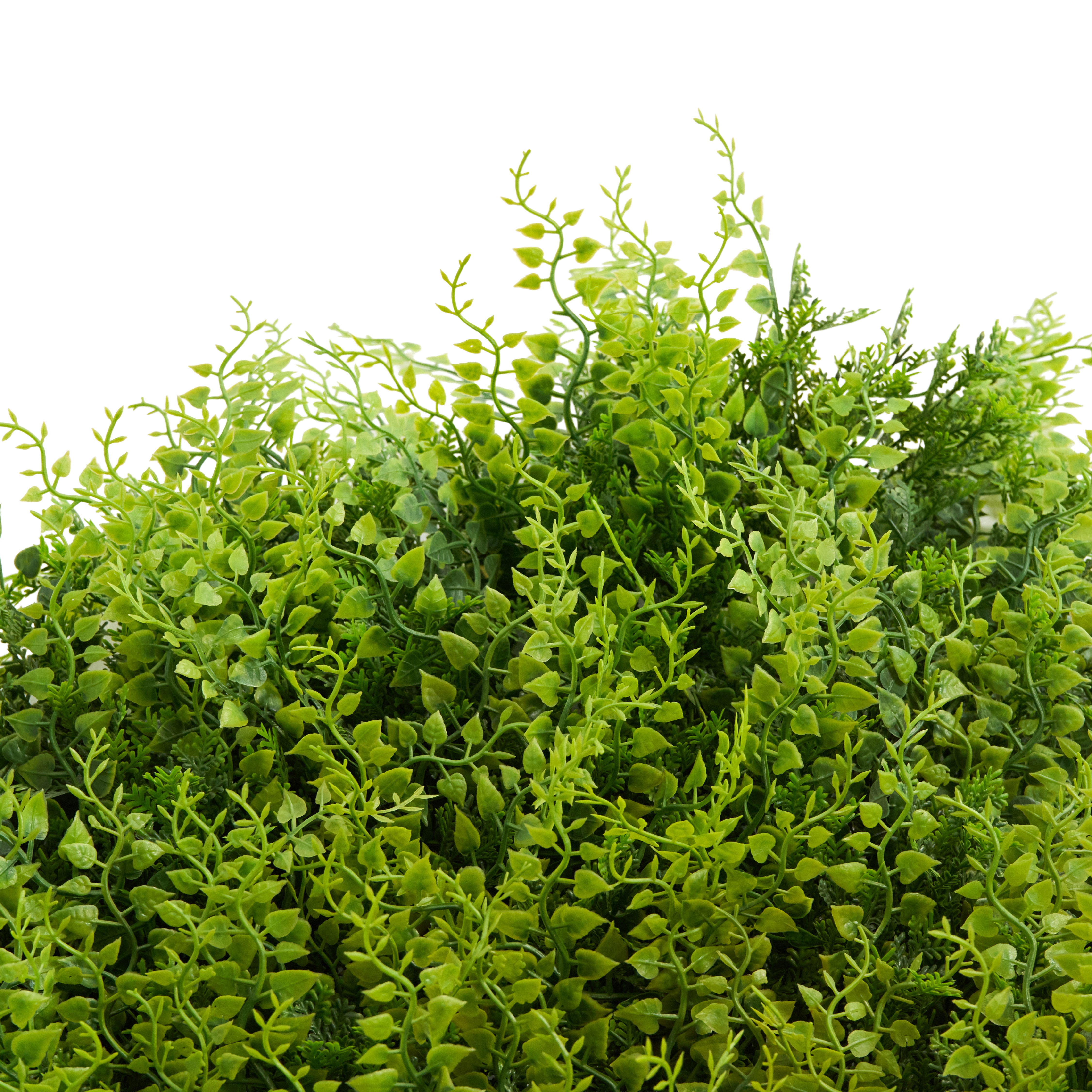 Envywall Fern Panel