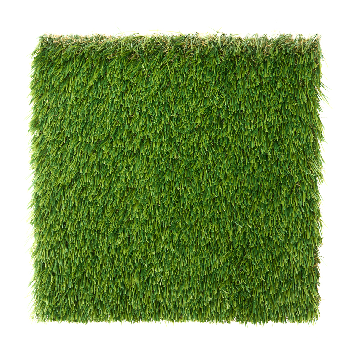 St. Augustine | Premium Synthetic Turf