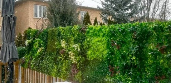 Eva Bartok artificial grass review in Carlstadt, New Jersey