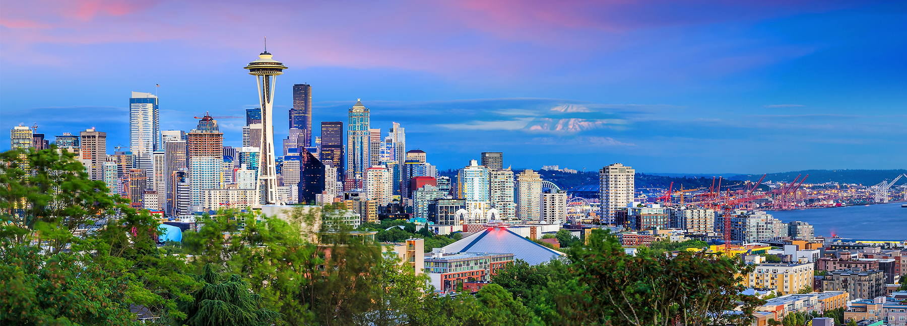 Artificial Grass & Synthetic Turf Supply in Seattle