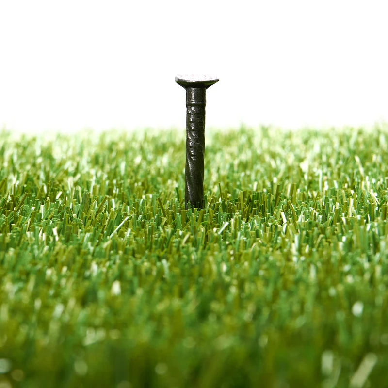Spiral Turf Nails 6"